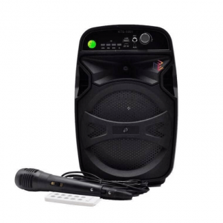 Portable Wireless Bluetooth Karaoke Speaker KTS-1061 with Mic, USB, SD, FM Radio Price in Pakistan | LAPTAB