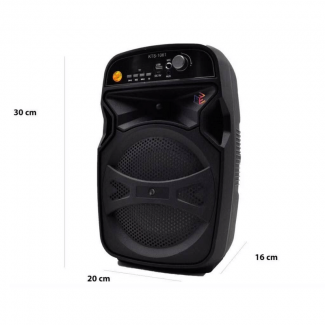 Portable Wireless Bluetooth Karaoke Speaker KTS-1061 with Mic, USB, SD, FM Radio Price in Pakistan | LAPTAB