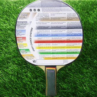 Donic Schildkr?t Table Tennis Racket Level 100 for Beginners with Jade Short-Pips Rubber Price in Pakistan | LAPTAB