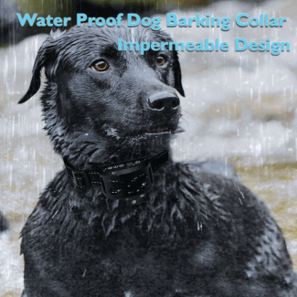 Dog Training Collar with Beep, Rechargeable, Adjustable, Rainproof, No Bark Receiver Price in Pakistan | LAPTAB
