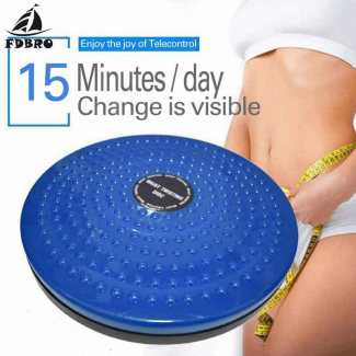 Buy Twister Plate Exercise Gear Plastic Waist Twist Disc - Best Price in  Pakistan (March, 2024)