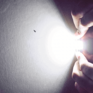41mm Super COB LED Bulb 12 Chips High Brightness Vehicle Interior Light Price in Pakistan | LAPTAB