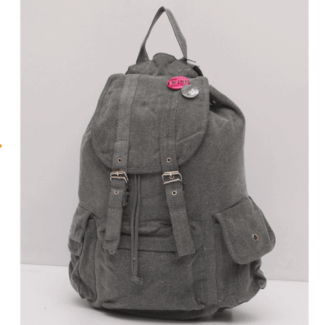 Canvas Backpacks for Girls Grey Color Bag