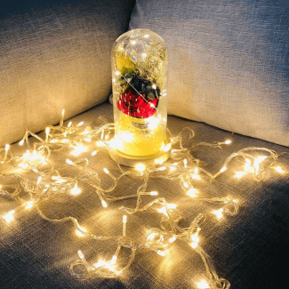 LED Night Light Artificial Rose String Light with 20 LEDs for Bedroom Decor Price in Pakistan | LAPTAB