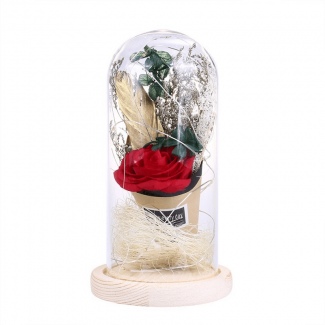 LED Night Light Artificial Rose String Light with 20 LEDs for Bedroom Decor Price in Pakistan | LAPTAB