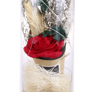 LED Night Light Artificial Rose String Light with 20 LEDs for Bedroom Decor Price in Pakistan | LAPTAB