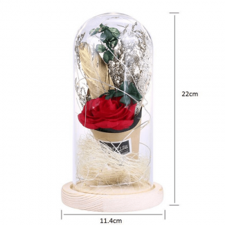 LED Night Light Artificial Rose String Light with 20 LEDs for Bedroom Decor Price in Pakistan | LAPTAB