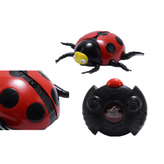 IR Miraculous Ladybug Remote Control Toy with Light, Wall Climbing and 360? Movement Price in Pakistan | LAPTAB