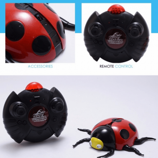 IR Miraculous Ladybug Remote Control Toy with Light, Wall Climbing and 360? Movement Price in Pakistan | LAPTAB