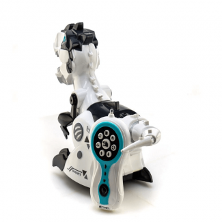 Remote Infrared Control T Rex Dinosaur Robot Toy with Lights, Sounds, and Movement Price in Pakistan | LAPTAB