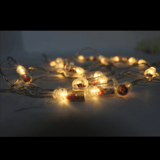 Bottles Fairy Light with 20 Warm LED Lights on 10m String for Party and Wedding Decor Price in Pakistan | LAPTAB