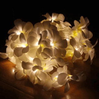Flower Fairy Lights String with 20 White LED Flowers for Indoor and Outdoor Decor Price in Pakistan | LAPTAB