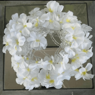 Flower Fairy Lights String with 20 White LED Flowers for Indoor and Outdoor Decor Price in Pakistan | LAPTAB