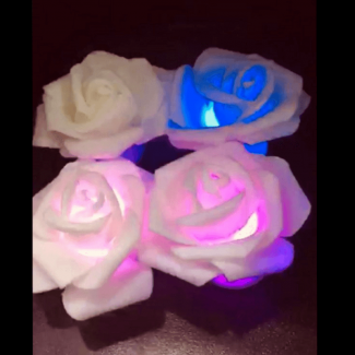 Rose Fairy Light 12 Multi-Color LED Rose String Lights USB and Battery Powered Price in Pakistan | LAPTAB