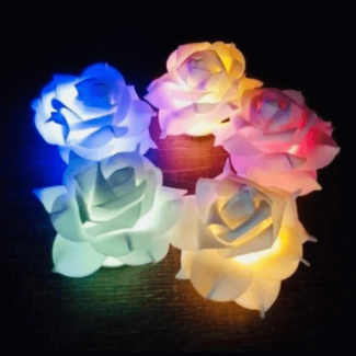 Rose Fairy Light 12 Multi-Color LED Rose String Lights USB and Battery Powered Price in Pakistan | LAPTAB