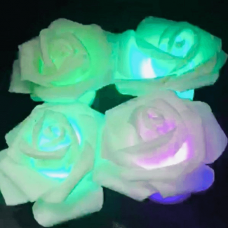 Rose Fairy Light 12 Multi-Color LED Rose String Lights USB and Battery Powered Price in Pakistan | LAPTAB