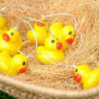 Duck Fairy Light String with 20 LED Ducks, 3M USB and Battery Powered Price in Pakistan | LAPTAB
