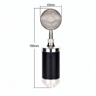 BM-502 Condenser Microphone for PC with Cardioid Pattern and Noise Reduction Price in Pakistan | LAPTAB