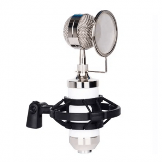 BM-502 Condenser Microphone for PC with Cardioid Pattern and Noise Reduction Price in Pakistan | LAPTAB
