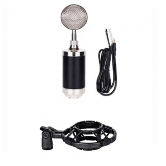 BM-502 Condenser Microphone for PC with Cardioid Pattern and Noise Reduction Price in Pakistan | LAPTAB