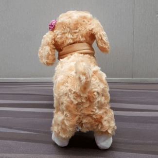 Kids RC 23cm Electric Plush Dog Toy - Walks, Sings, Plays Music, Battery Operated Price in Pakistan | LAPTAB
