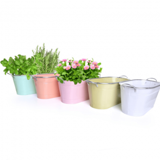Stainless Steel Flower Pot with Handles 13cm, Watertight, Classic Design for Home Plants Price in Pakistan | LAPTAB