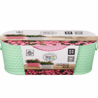 Stainless Steel Flower Pot with Coco Peat and Seeds, UV Durable, No-Hole Design for Indoor Plants Price in Pakistan | LAPTAB