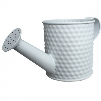 Stainless Steel Watering Can with Wide Diffuser Spout and Easy-Use Handle Price in Pakistan | LAPTAB