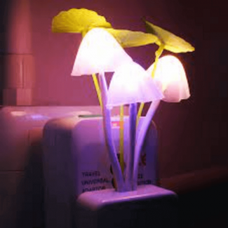 LED Mushroom Night Light with Adjustable Brightness and Light Sensor for Safety Price in Pakistan | LAPTAB