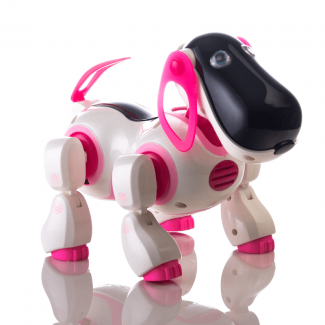 IR RC Dialogue Robot Smart Dog Toy - Interactive Remote Control Companion Price in Pakistan | LAPTAB