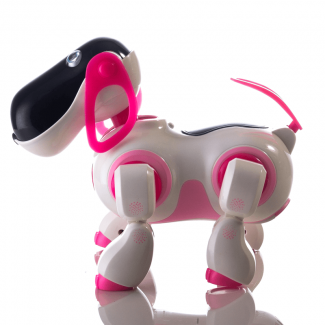 IR RC Dialogue Robot Smart Dog Toy - Interactive Remote Control Companion Price in Pakistan | LAPTAB