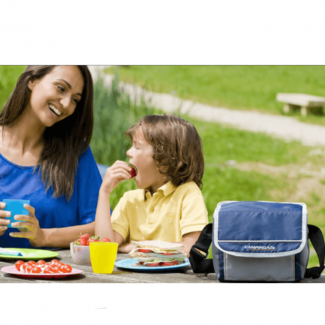 Fold N Cool 5L Soft Cooler - Portable, Foldable, Ideal for Travel and Snacks Price in Pakistan | LAPTAB