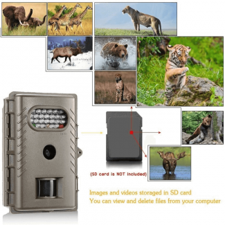 Night Vision Fast Trigger Digital Trail Camera