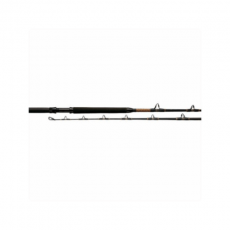 PENN International Gold Fishing Rod - Durable, Lightweight, Ergonomic Design Price in Pakistan | LAPTAB