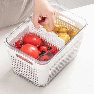 2-Layer Refrigerator Food Container for Fruits and Vegetables Storage Price in Pakistan | LAPTAB