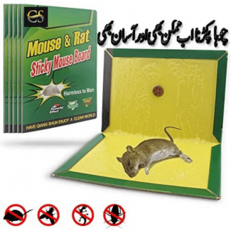 Durable Mouse Trap Pack of 10 - Effective Glue Sticky Traps for Rodents Price in Pakistan | LAPTAB