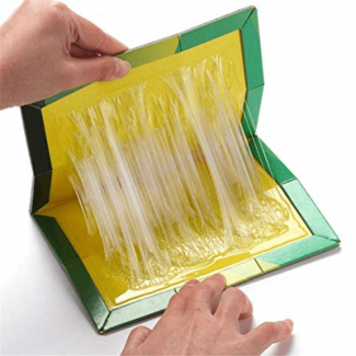 Durable Mouse Trap Pack of 10 - Effective Glue Sticky Traps for Rodents Price in Pakistan | LAPTAB