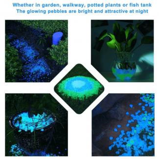Glow In the Dark Fairy Light Pebbles for Aquariums and Gardens Price in Pakistan | LAPTAB