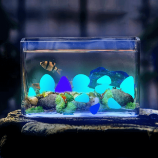 Glow In the Dark Fairy Light Pebbles for Aquariums and Gardens Price in Pakistan | LAPTAB