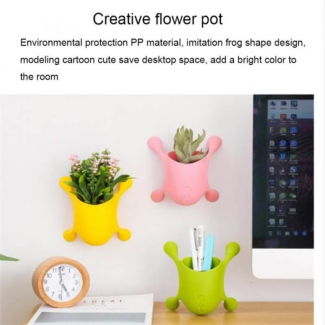 Wall-Mounted Window Vases and Desk Pen Holders for Office Organization Price in Pakistan | LAPTAB