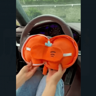 Neck Support Pillow and Eye Mask 2 in 1 for Comfortable Travel Rest Price in Pakistan | LAPTAB