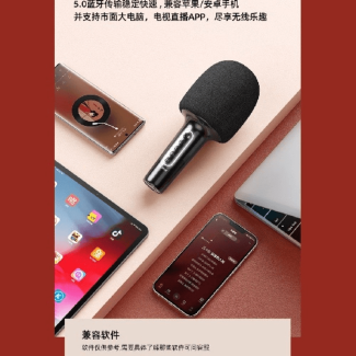 REMAX K07 Wireless Handheld Microphone with Built-in Speaker and Voice Filters Price in Pakistan | LAPTAB