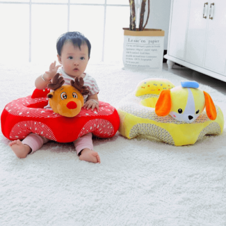 Back Support Character Baby Floor Seat for Safe Sitting and Comfort Price in Pakistan | LAPTAB