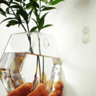 Hexagon Wall Mounted or Desktop Glass Vase for Home and Office Decor Price in Pakistan | LAPTAB