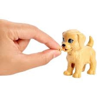 Barbie Blonde Doll with Dog Walker & Potty Pup for Ages 3 and Up Price in Pakistan | LAPTAB