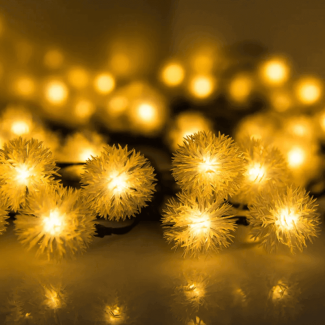 Dandelion Solar Fairy Light String, 20 Bulbs, 5m Length, 8 Modes