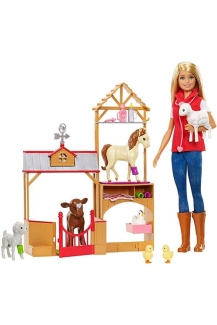 Barbie Sweet Orchard Farm Doll & Playset for Ages 2-4, Unisex Price in Pakistan | LAPTAB