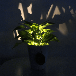 Waterproof Solar Light Lamp for Flower Pots - Eco-Friendly LED Garden Decor Price in Pakistan | LAPTAB