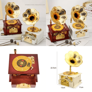 Gramophone Style Music Storage Box - Mechanical Music Box for Decor and Keepsakes Price in Pakistan | LAPTAB