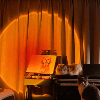 Sunset LED Projection Night Light for Romantic Ambiance and Dreamy Decor Price in Pakistan | LAPTAB
